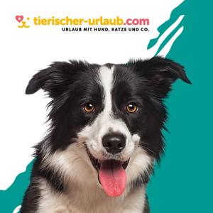 Das Podcast-Service von tierischer-urlaub.com