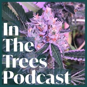 IN THE TREES PODCAST