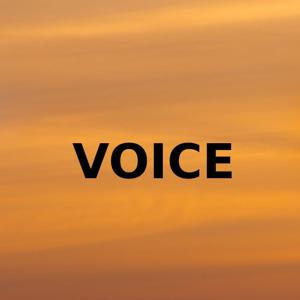 Guth: Finding A Voice