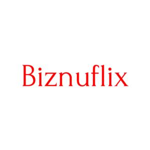 Biznuflix