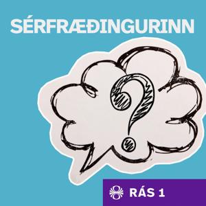 Sérfræðingurinn