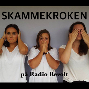 Skammekroken