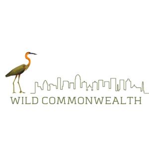 Wild Commonwealth Podcast