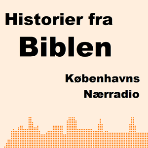 Historier fra Bibelen