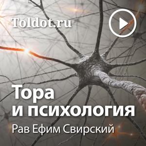 Рав Ефим Свирский  — Тора и психология by toldot.com