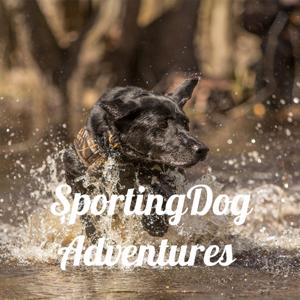 SportingDog Adventures PodCast