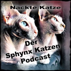 Nackte Katze - Der Sphynx Katzen Podcast