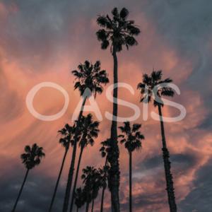 Oasis