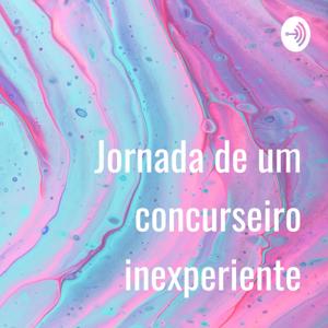 Jornada de um concurseiro inexperiente