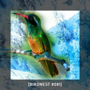 Birdnest Podcast | *SoUnday in Deep Flight*