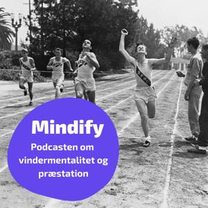 Mindify