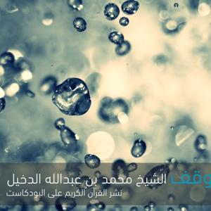القرآن الكريم The Noble Quran by dr.abdllh