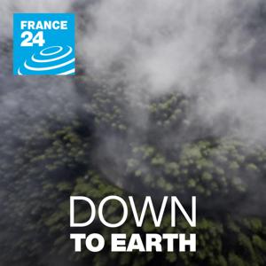 Down to Earth by FRANCE 24 English