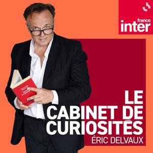 Le cabinet de curiosités