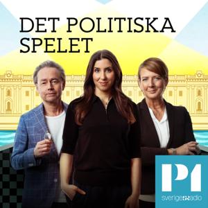 Det politiska spelet