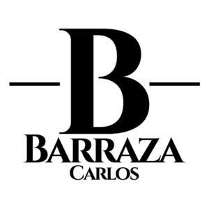 BarrazaCarlos.com Digital Marketing, Entrepreneurship & Professional Development