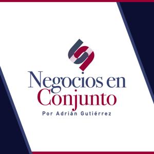 Negocios en Conjunto