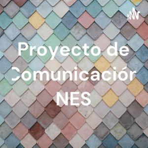 Proyecto de Comunicación NES