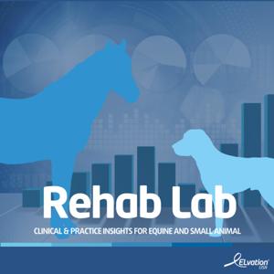 Rehab Lab Powered By The PiezoWave2T