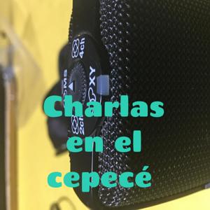 Charlas con artistas admirados