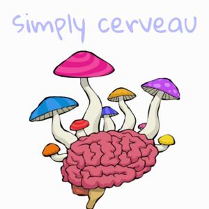 Simply Cerveau