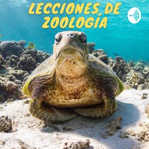 Lecciones de Zoologia