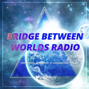 Bridge Between Worlds