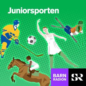 Juniorsporten