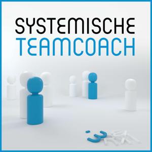 Systemische Teamcoach by Anne Jan de Witte