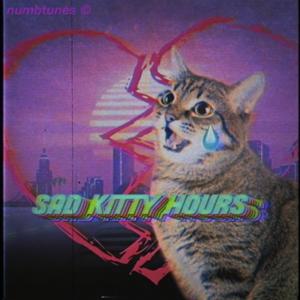 Sad Kitty Hours