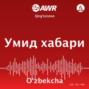 Умид хабари