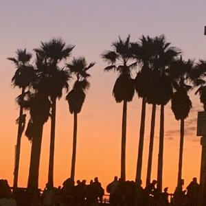 All The Single Mommas