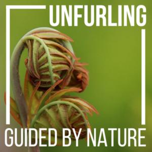 Unfurling