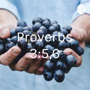 Proverbs 3:5,6