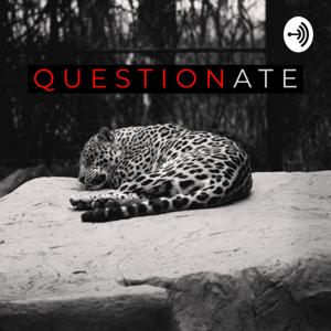 QUESTIONATE