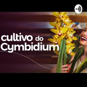 Como Cultivar Cymbidium?