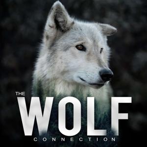 The Wolf Connection by A Wolf Connection® Production