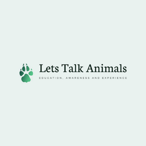 Lets Talk Animals