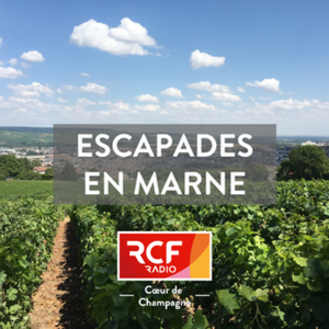 Escapades en Marne