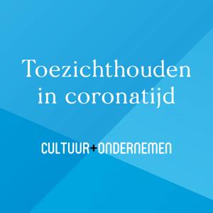 Toezichthouden in coronatijd