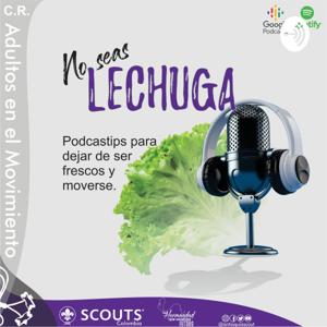 La Lechuga Scout