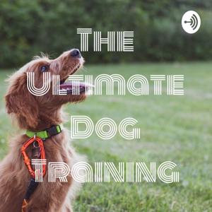 The Ultimate Dog Training