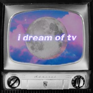 i dream of tv