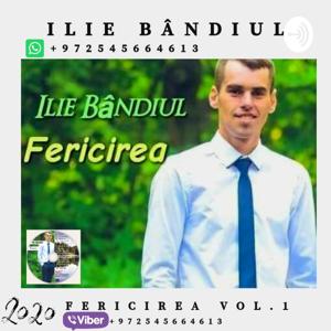 Ilie Bândiul - Fericirea Negative Vol. 1 (2020)