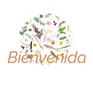 Bienvenida