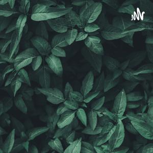 Nile_flows_here