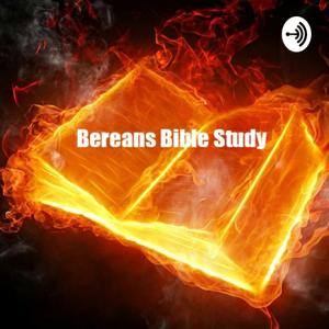 Berean Bible Study