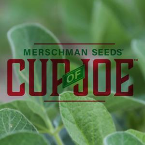 Merschman Seeds Cup of Joe