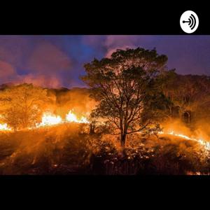 🌳🔥Impactos das queimadas na diversidade genética do Pantanal🌳🔥