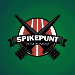 Spikepunt